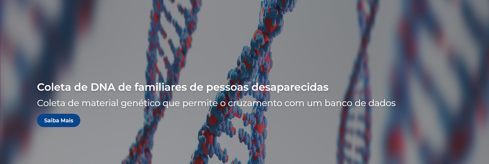 Imagem do banner