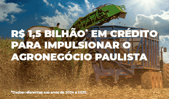 Imagem do banner
