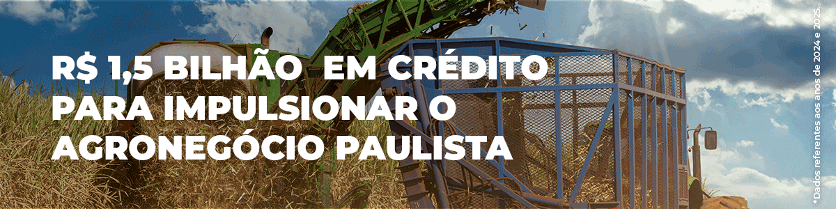 Imagem do banner