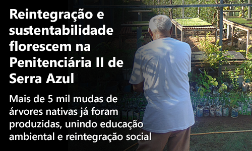 Imagem do banner
