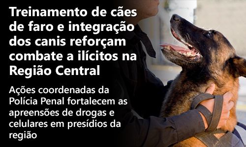 Imagem do banner