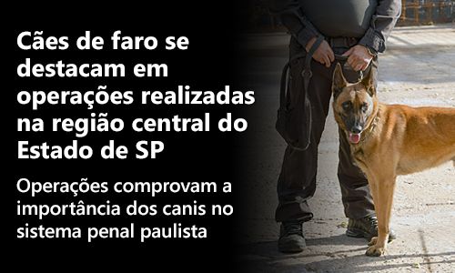 Imagem do banner
