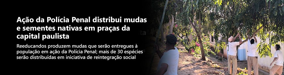 Imagem do banner
