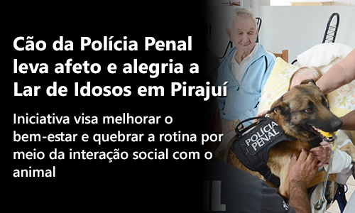 Imagem do banner