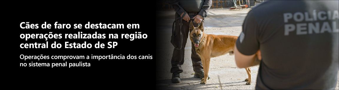 Imagem do banner