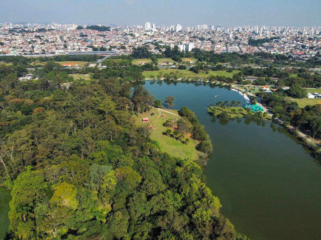 Imagem Notícia